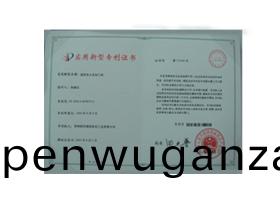 專(zhuan)利證(zheng)書