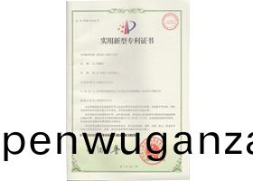 專(zhuan)利(li)證(zheng)書(shu)